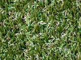 Nearly grass 30 premium